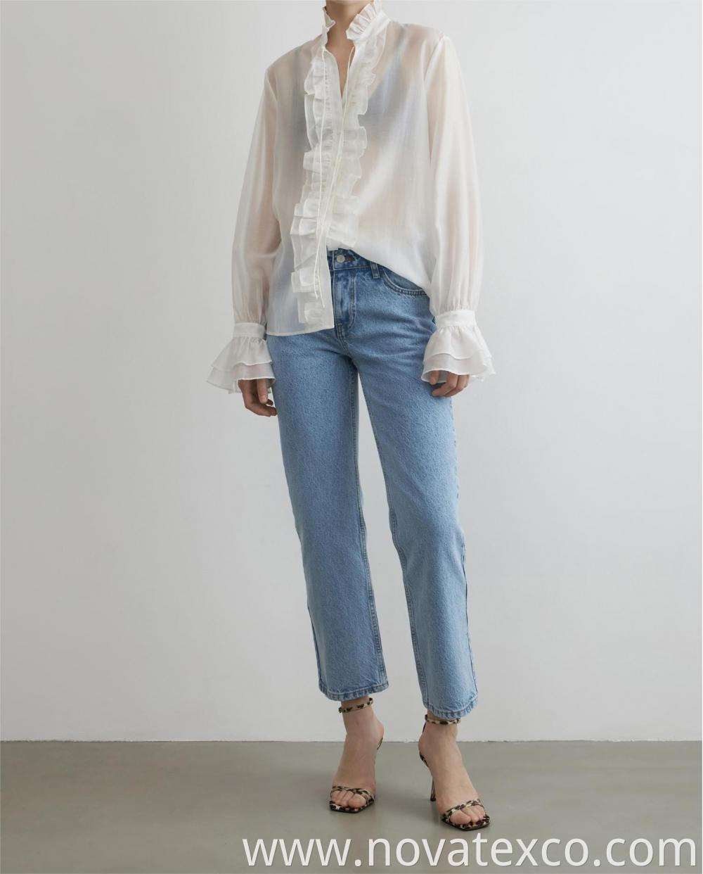 Sheer Pleated Stand Up Collar Top